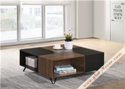 JOSHUA COFFEE TABLE